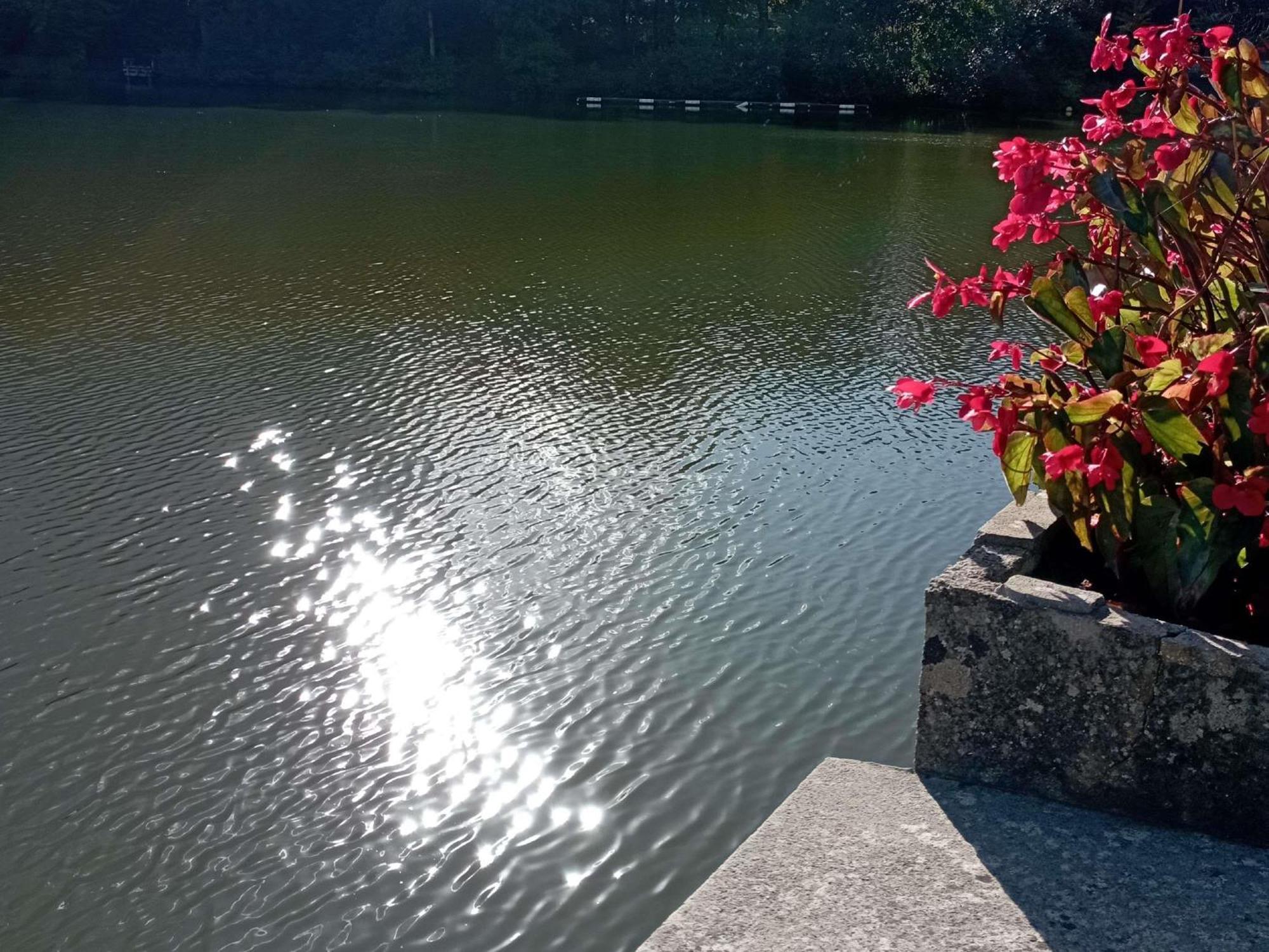 Отель Ibis Les Etangs Des Moines Fourmies Экстерьер фото